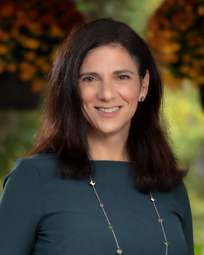 Robyn Wapner, Esq. Employment Attorney